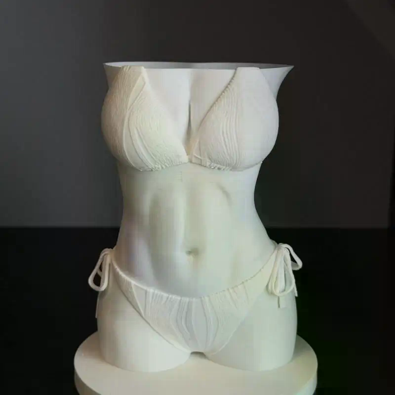 비키니 바디 펜 홀더 3D 프린팅 재미있는 질감 여성  - 3D Printing Pen For Adults 리뷰 및 가격